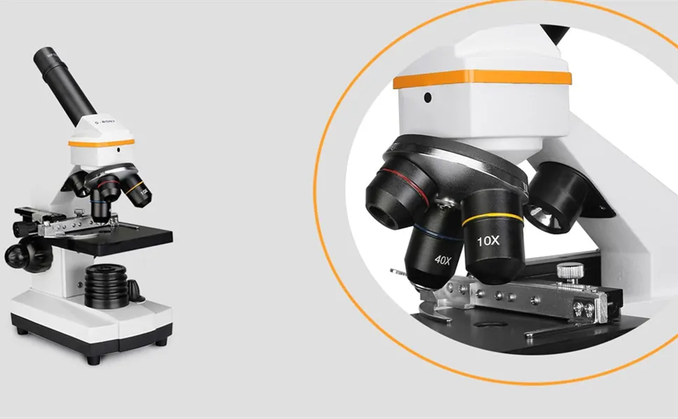 SV601顕微鏡接眼レンズの倍率 doloremque