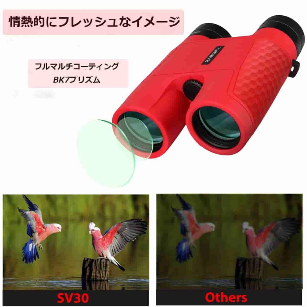 SVBONY SV30 10X42双眼鏡  ピント合わせ不要 スポーツ観戦 運動会向き 赤色