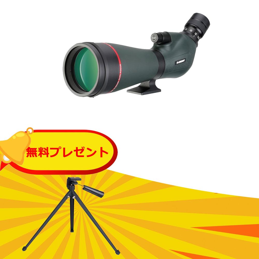 デニイロSPEC456 デニイロSPEC456