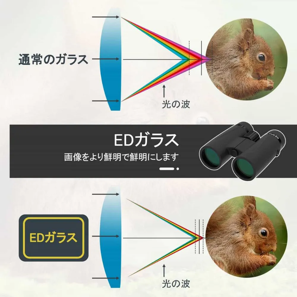 SVBONY SA205 10x42 ED フラットフィールド双眼鏡  自然観察 観光 スポーツ観戦用 野鳥観察