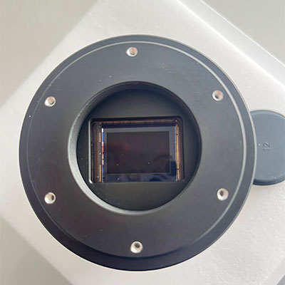 APS-C 大型センサー