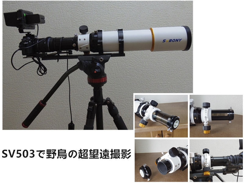 SV503天体望遠鏡で野鳥撮影 SV503天体望遠鏡で野鳥撮影