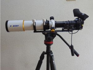 野鳥撮影でSV503天体望遠鏡をテストする doloremque