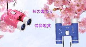 桜祭りを期待してます！！満開な桜を鑑賞しましょう。 doloremque