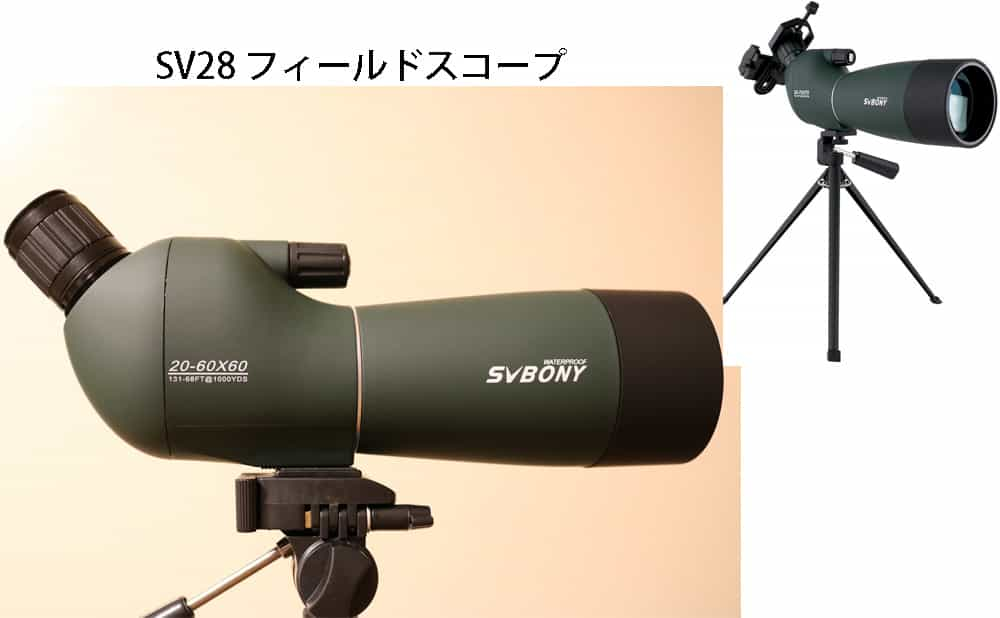 SV28フィールドスコープ、アーチェリー部にオススメ