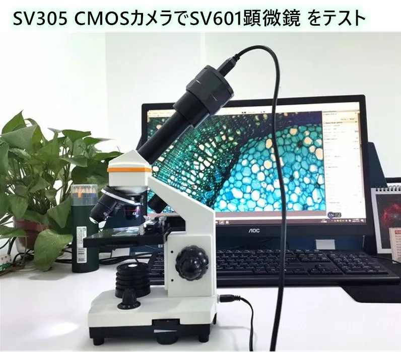 SV305 CMOSカメラでSV601顕微鏡 をテスト doloremque