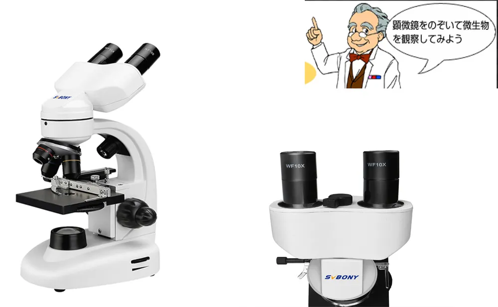 初めての双眼実体顕微鏡 doloremque