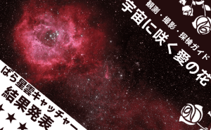【結果発表】ばら星雲キャッチャー！& 宇宙に咲くロマンチックな花——バラ星雲の観測、撮影、探検ガイド doloremque