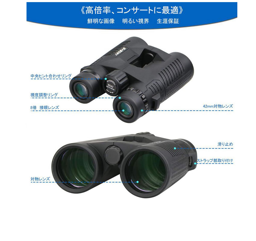 SV39双眼鏡.jpg