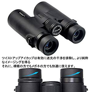 SV21 SV21