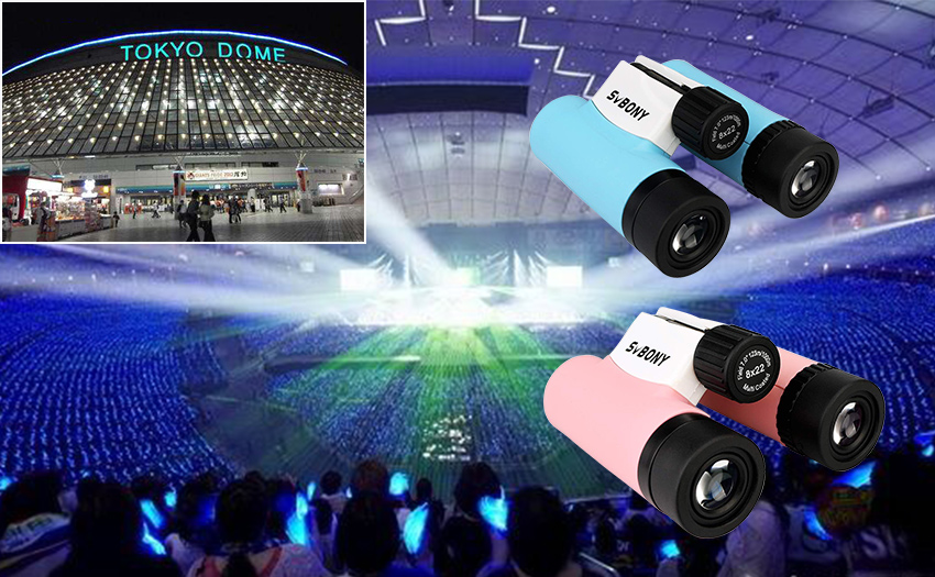 Tokyo Dome concert.jpg
