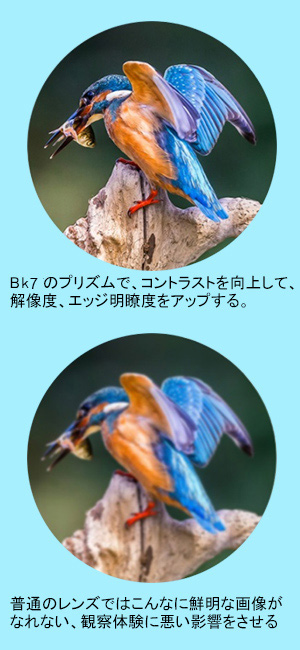 バードウオッチング双眼鏡 バードウオッチング双眼鏡