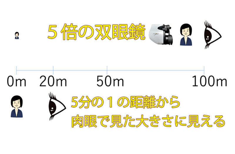 郑0116-1.jpg
