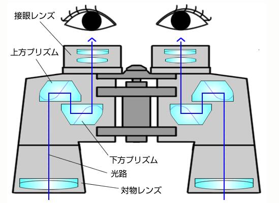 ポロ双眼鏡光路図