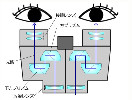 ミニポロ双眼鏡光路図