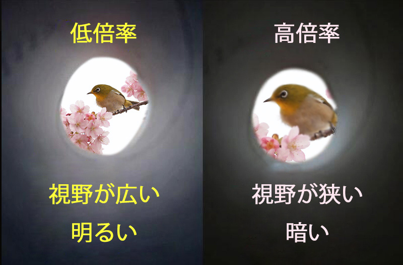 視界