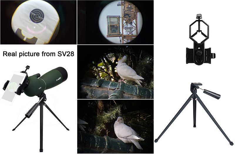 sv28