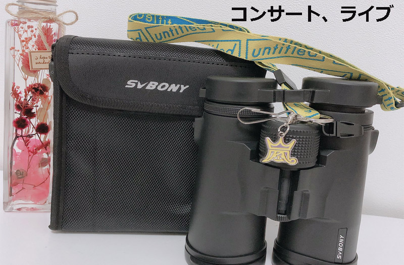 SV21コンサート.jpg