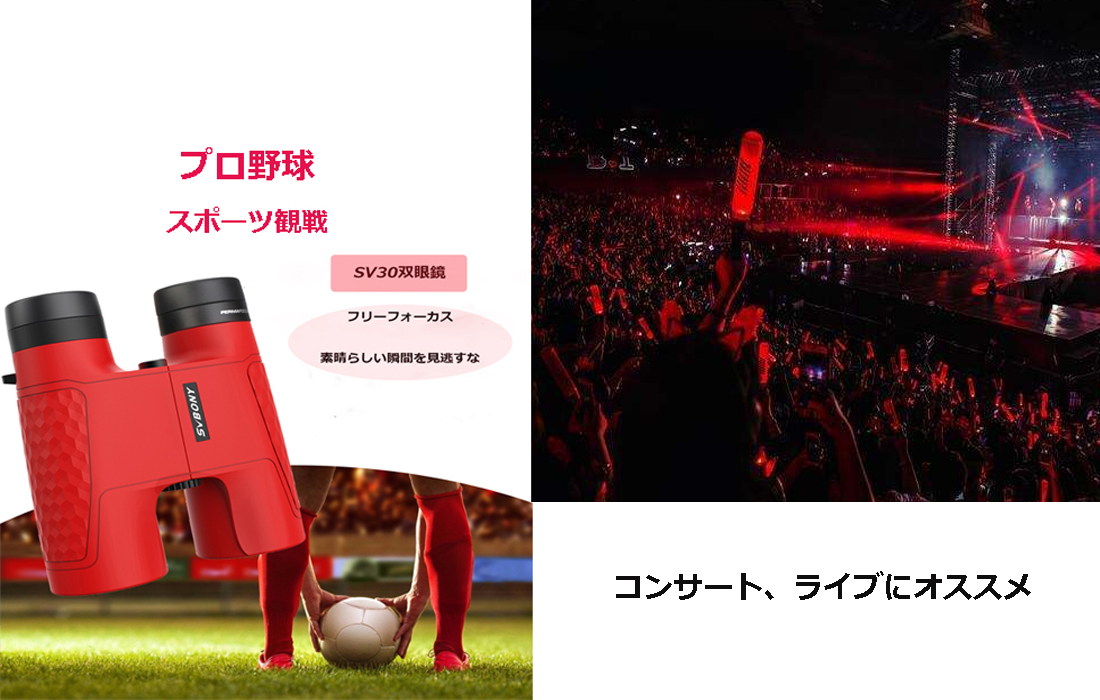 SV30双眼鏡.jpg