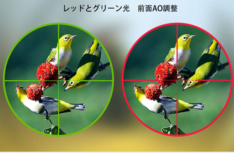 赤と緑のイルミネーション.jpg