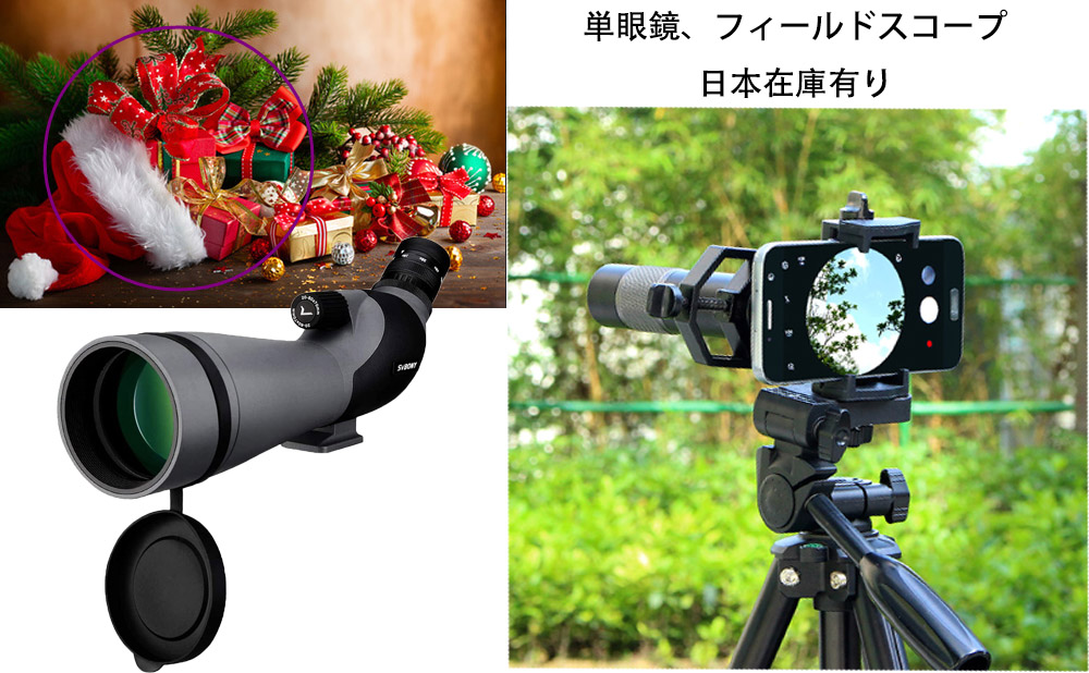 クリスマスプレゼント.jpg