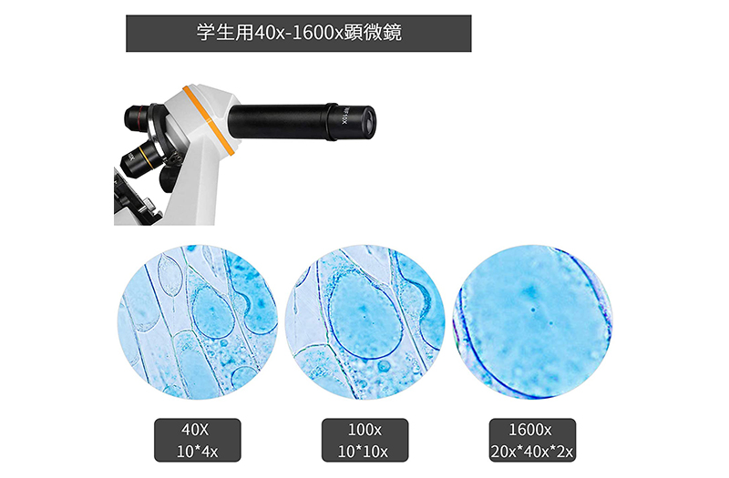 1600x 顕微鏡.jpg