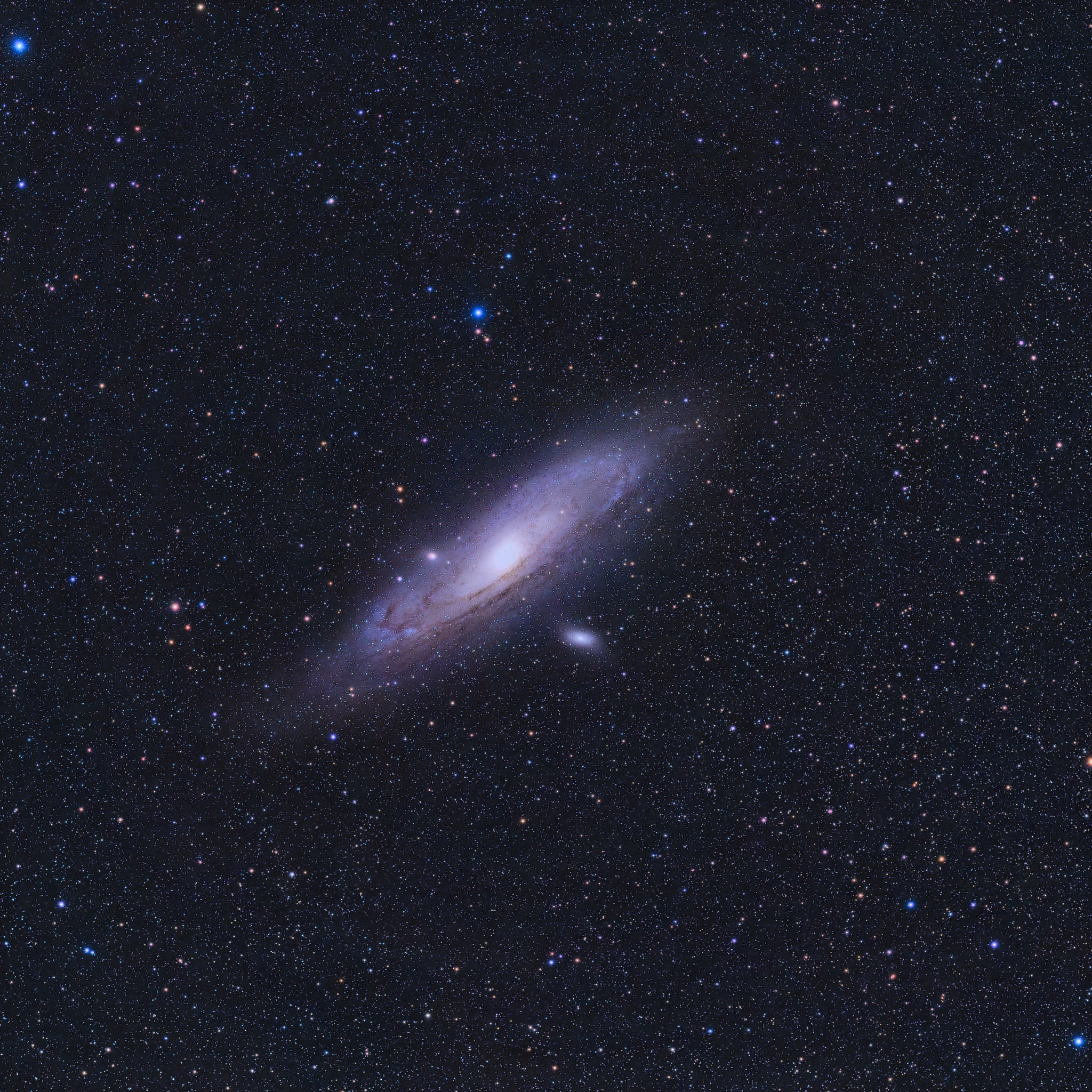 M31