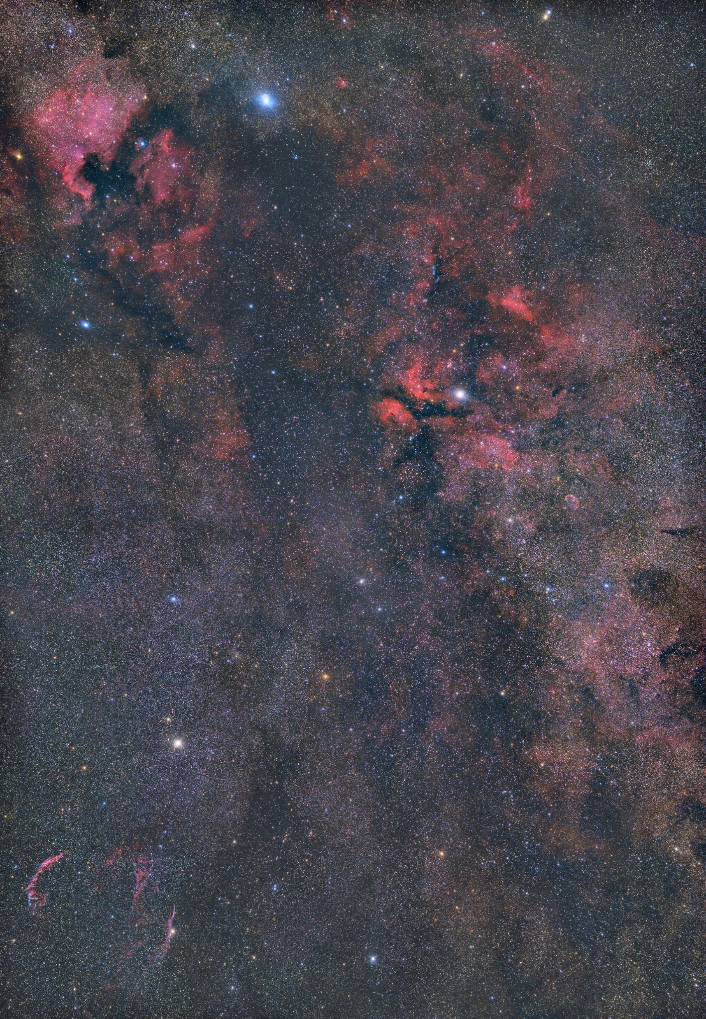 白鳥座のサドル付近