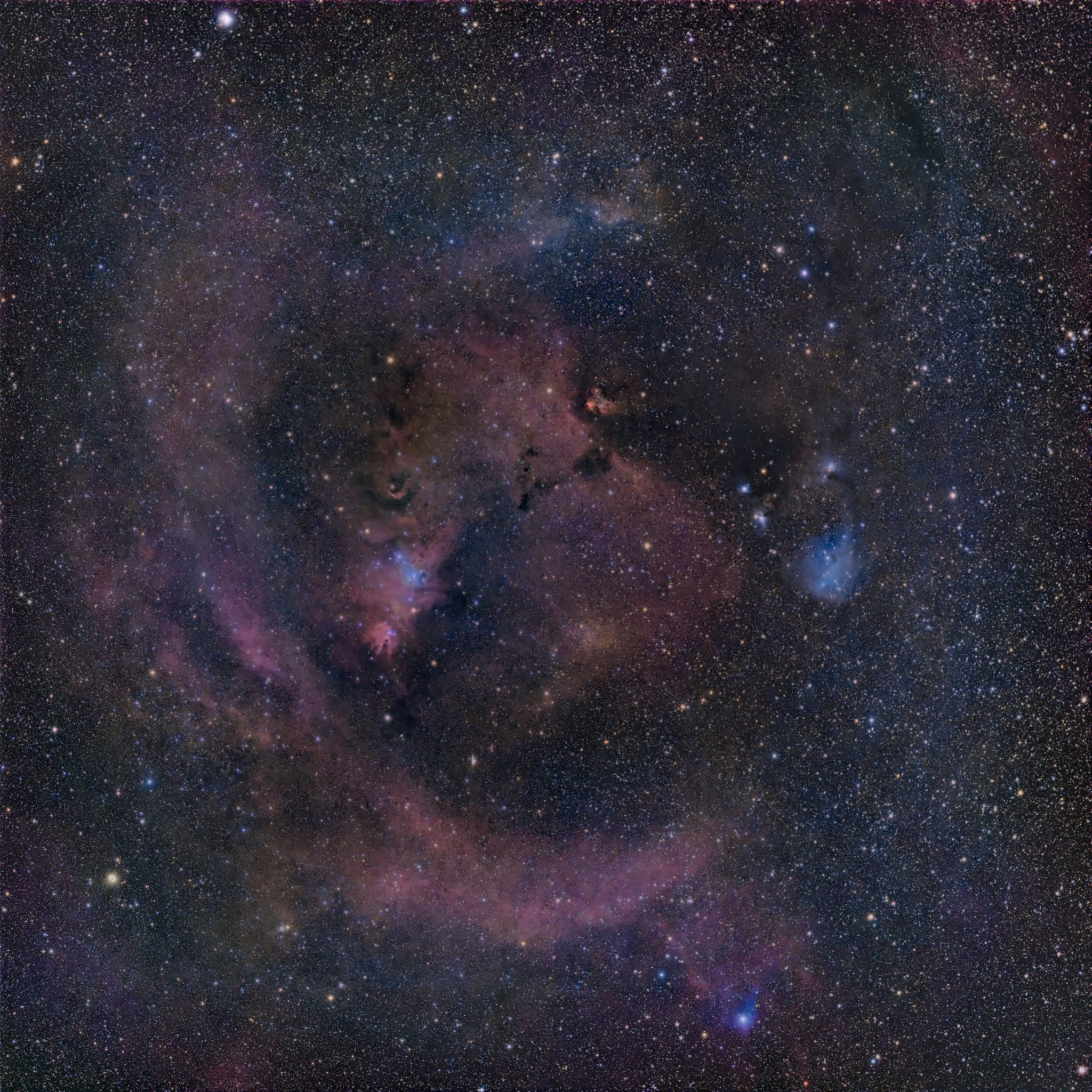 いっかくじゅう座のクリスマスツリー星団(NGC2264)周辺