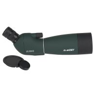 野鳥観察 野鳥観察