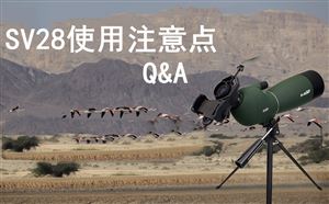 SVBONY SV28 使用注意点のQ&A doloremque