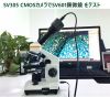 SV305 CMOSカメラでSV601顕微鏡 をテスト