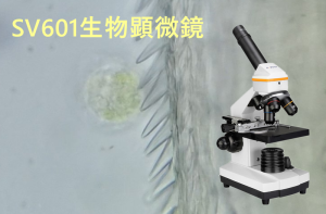 SV601生物顕微鏡の使用テスト doloremque