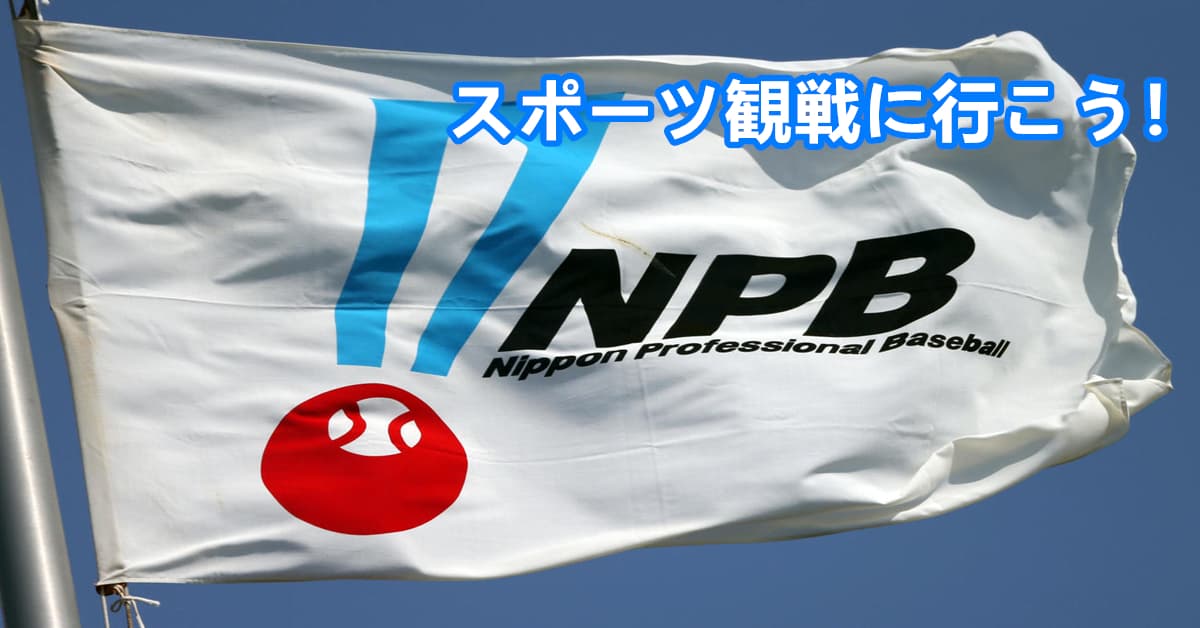 スポーツ観戦に行こう!