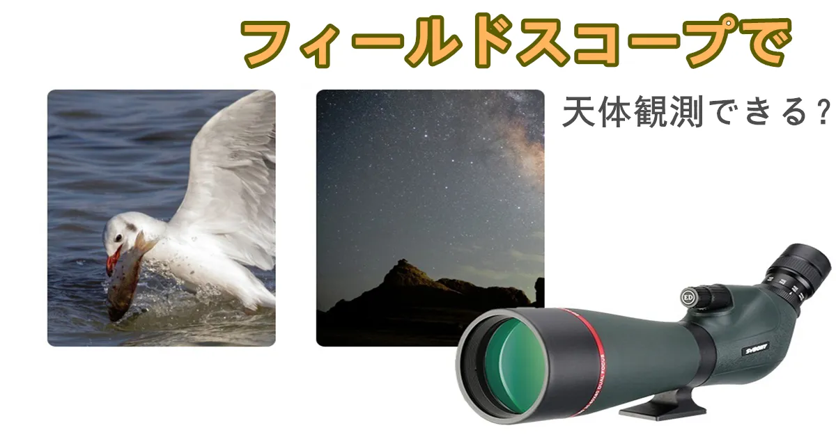 フィールドスコープで天体観測できる?