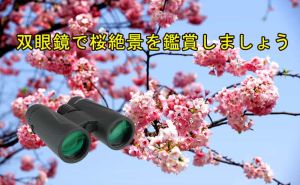 双眼鏡で桜絶景を鑑賞しましょう doloremque