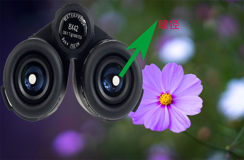 svbony-2.jpg svbony-2.jpg