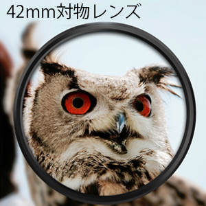 大口径双眼鏡