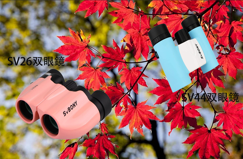 双眼鏡紅葉.jpg