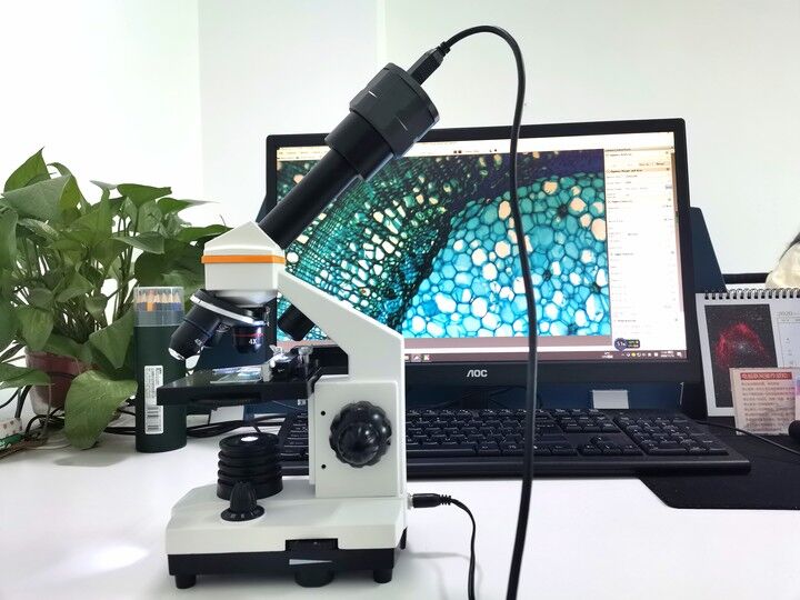 SV305観察.jpg SV305観察.jpg