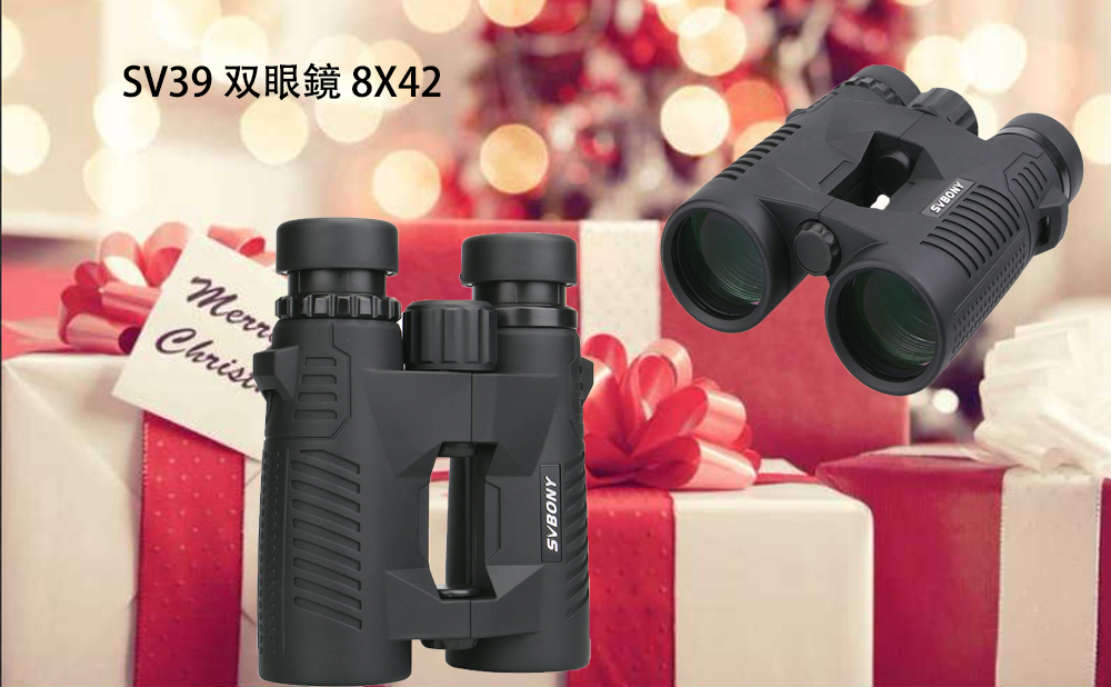 SV39双眼鏡.jpg