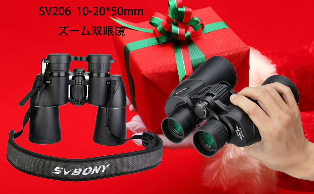 SV206双眼鏡.jpg