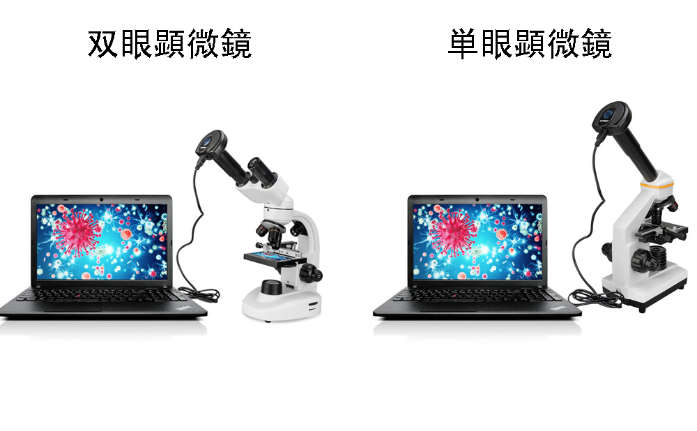 デジタル顕微鏡カメラ.jpg