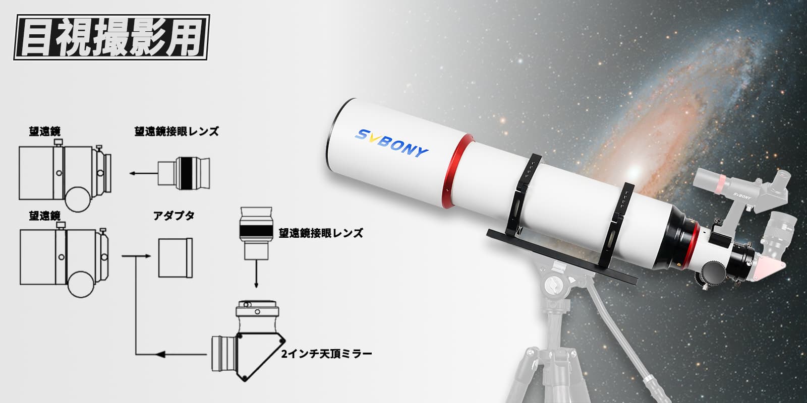 组 31.jpg 组 31.jpg