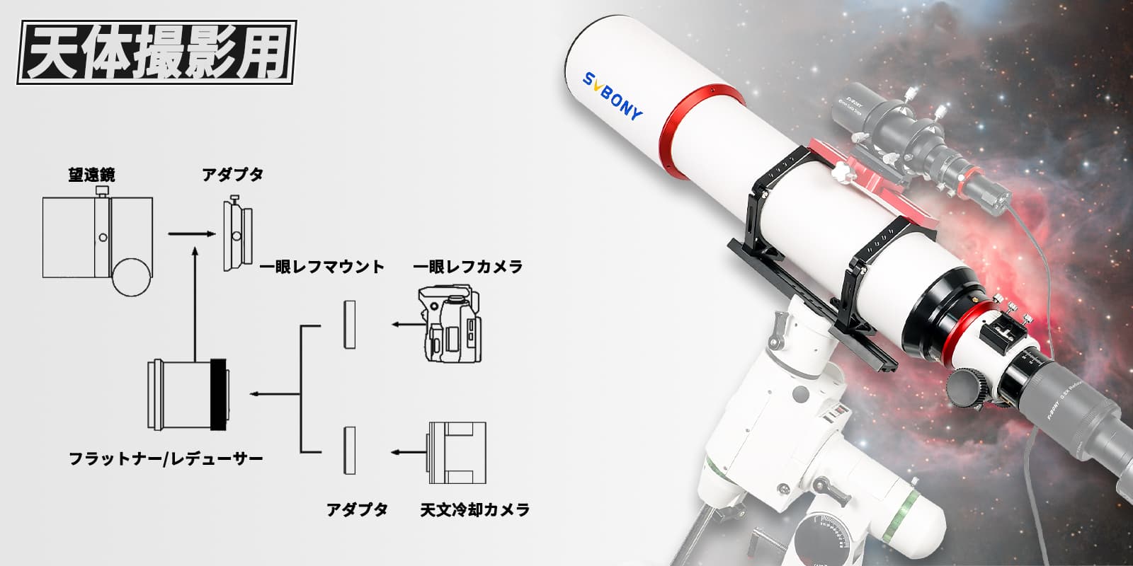 组合1.jpg 组合1.jpg